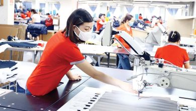 Phát triển doanh nghiệp thúc đẩy tăng năng suất lao động Phát triển doanh nghiệp thúc đẩy tăng năng suất lao động