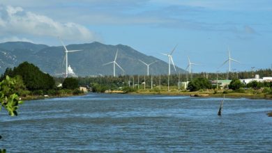 Bình Định thu hút các dự án năng lượng tái tạo
