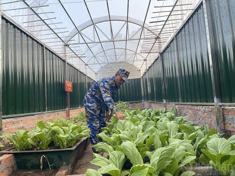 Trồng rau trên sóng