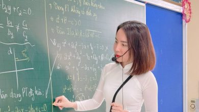 Một bông hoa tài năng và một tấm lòng nghề giáo