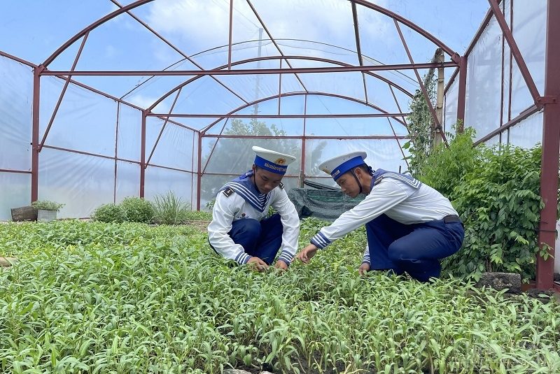 Trồng rau trên sóng