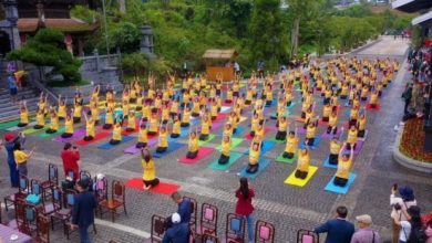 Ngày Quốc tế Yoga năm 2024 sẽ được tổ chức tại 40 tỉnh, thành phố trên cả nước
