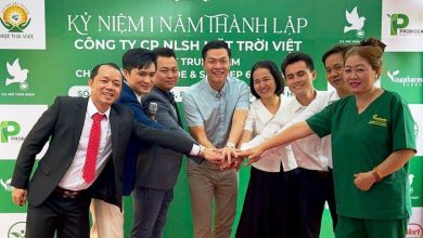 Mặt Trời Việt kỷ niệm một năm đi vào hoạt động Mặt Trời Việt kỷ niệm một năm đi vào hoạt động