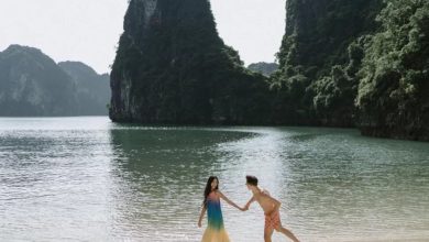 Những trải nghiệm “6 sao” trên du thuyền Sea Stars Hạ Long
