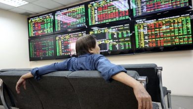 Động lực chính cho thị trường chứng khoán nửa cuối năm 2024 Động lực chính cho thị trường chứng khoán nửa cuối năm 2024