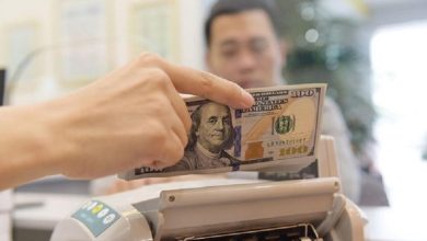 Việt Nam sẽ tiếp tục bớt áp lực tỷ giá Việt Nam sẽ tiếp tục bớt áp lực tỷ giá