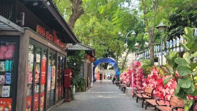 Phố Sách Hà Nội: Món quà tri thức trong lòng Thủ Đô