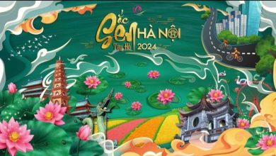 2024 - Lần đầu tiên Hà Nội tổ chức Lễ Hội Sen: Sắc màu văn hóa và Hương vị đặc sản