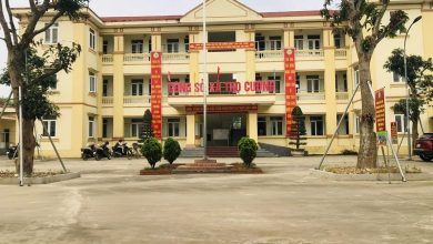 THỌ CƯỜNG - ĐIỂM SÁNG TRONG CÔNG TÁC BẢO VỆ MÔI TRƯỜNG - XÂY DỰNG CẢNH QUAN NÔNG THÔN MỚI THỌ CƯỜNG - ĐIỂM SÁNG TRONG CÔNG TÁC BẢO VỆ MÔI TRƯỜNG - XÂY DỰNG CẢNH QUAN NÔNG THÔN MỚI