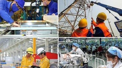 Vốn nhà nước tại 19 tập đoàn, tổng công ty được bảo toàn và phát triển Vốn nhà nước tại 19 tập đoàn, tổng công ty được bảo toàn và phát triển