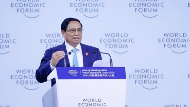 Ngoại lực của kinh tế Việt Nam Ngoại lực của kinh tế Việt Nam