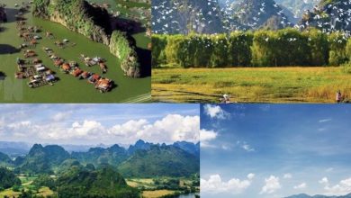 Quy hoạch bảo vệ môi trường quốc gia đến 2030 Quy hoạch bảo vệ môi trường quốc gia đến 2030