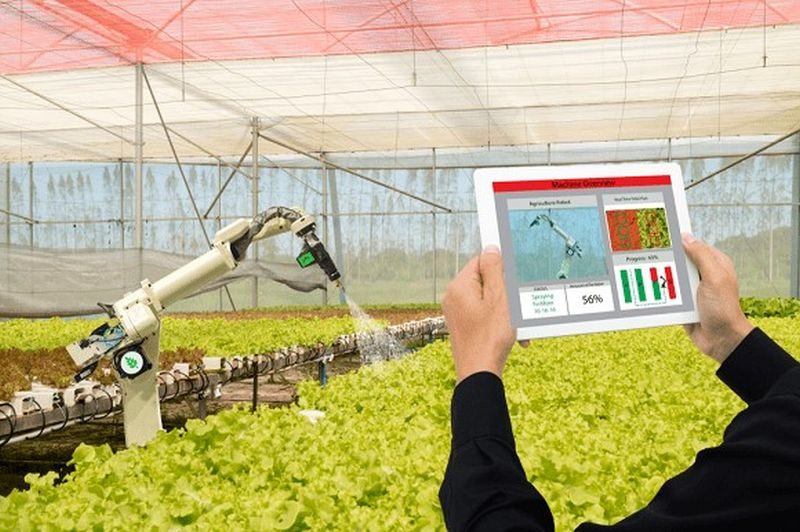 23/07: Diễn đàn Nông nghiệp 2024: Nông nghiệp thông minh đột phá từ công nghệ 5.0 23/07: Diễn đàn Nông nghiệp 2024: Nông nghiệp thông minh đột phá từ công nghệ 5.0