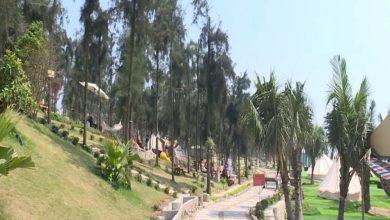 Quảng Thái - Vùng biển hoang sơ và giàu tiềm năng du lịch