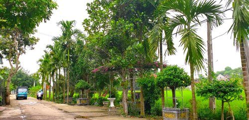 THỌ CƯỜNG - ĐIỂM SÁNG TRONG CÔNG TÁC BẢO VỆ MÔI TRƯỜNG - XÂY DỰNG CẢNH QUAN NÔNG THÔN MỚI THỌ CƯỜNG - ĐIỂM SÁNG TRONG CÔNG TÁC BẢO VỆ MÔI TRƯỜNG - XÂY DỰNG CẢNH QUAN NÔNG THÔN MỚI