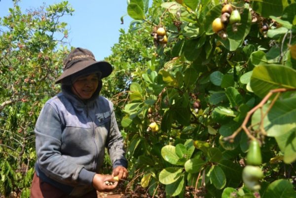 ĐẮK R’LẤP khơi dậy tiềm năng, lợi thế từ OCOP