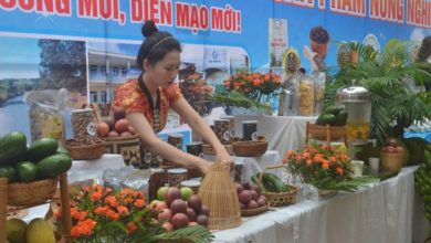 ĐẮK R’LẤP khơi dậy tiềm năng, lợi thế từ OCOP ĐẮK R’LẤP khơi dậy tiềm năng, lợi thế từ OCOP