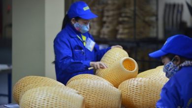 Giảm thuế cho doanh nghiệp nhỏ và siêu nhỏ: Nên mở rộng thêm quy mô doanh thu