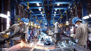 Kinh tế Việt Nam lấy lại “hào quang” Kinh tế Việt Nam lấy lại “hào quang”