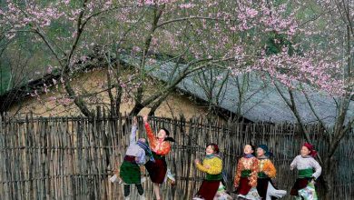 Thể lệ: Cuộc thi Ảnh nghệ thuật Quốc tế lần thứ 13 tại Việt Nam năm 2025 (VN-25)