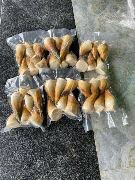 HTX DVNN Măng Lục Trúc Xuân Hanh – Hành trình biến những đồi keo thành đồi “đất vàng”