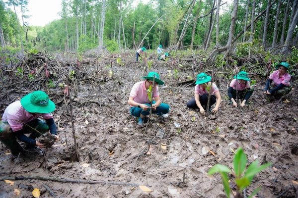 C.P. Việt Nam tiếp tục Hành trình Xanh: Trồng 20.000 cây đước phát triển rừng ngập mặn tại Đồng Nai