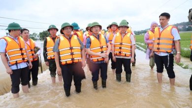 Thủ tướng chỉ đạo bảo đảm an toàn đê điều, hồ đập; triển khai phương tiện, kể cả trực thăng, hỗ trợ người dân Thủ tướng chỉ đạo bảo đảm an toàn đê điều, hồ đập; triển khai phương tiện, kể cả trực thăng, hỗ trợ người dân