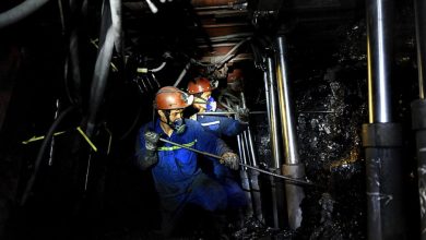 TKV đẩy mạnh tìm kiếm thị trường tiêu thụ than chất lượng cao TKV đẩy mạnh tìm kiếm thị trường tiêu thụ than chất lượng cao