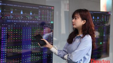 Cần thiết luật hoá hành vi thao túng chứng khoán Cần thiết luật hoá hành vi thao túng chứng khoán