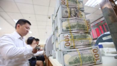 Phát huy hiệu quả nguồn lực kiều hối: Các nhóm giải pháp