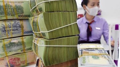 Ngân hàng cần kết nối triển khai các giải pháp hỗ trợ khách hàng sau bão Yagi Ngân hàng cần kết nối triển khai các giải pháp hỗ trợ khách hàng sau bão Yagi