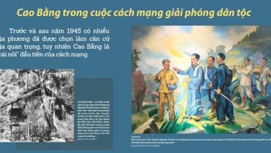 Triển lãm lịch sử tỉnh Cao Bằng qua tài liệu lưu trữ Triển lãm lịch sử tỉnh Cao Bằng qua tài liệu lưu trữ