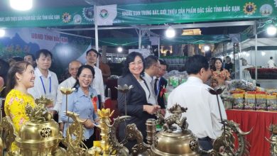 Khai mạc Hội chợ triển lãm hàng công nghiệp nông thôn tiêu biểu năm 2024