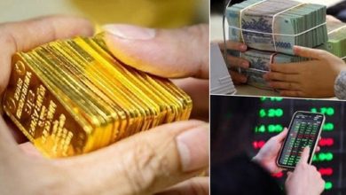 Khi nào dòng tiền quay trở lại chứng khoán?