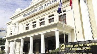 Thị phần môi giới HoSE quý III/2024: VPS, SSI vững top đầu, Vietcap nhảy vọt