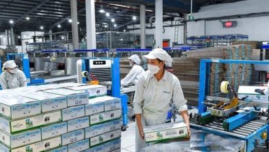 Nhu cầu tiêu dùng suy giảm, MCM bớt “ngọt”