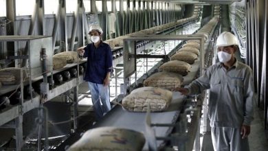 Doanh nghiệp xi măng "ngậm ngùi" báo lỗ