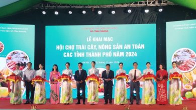 Hội chợ trái cây, nông sản an toàn các tỉnh, thành phố năm 2024 Hội chợ trái cây, nông sản an toàn các tỉnh, thành phố năm 2024