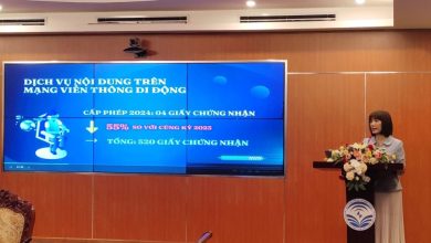 Năm 2024 tình trạng vi phạm trong lĩnh vực thông tin điện tử đã giảm đáng kể