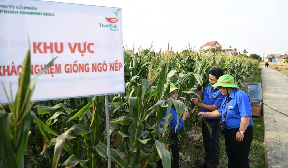 Liên hoan Thanh niên Nông thôn Toàn quốc 2024: Truyền cảm hứng từ những mô hình nông nghiệp công nghệ cao