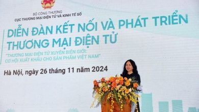 Thương mại điện tử xuyên biên giới, cơ hội mở rộng thị trường cho hàng hóa Việt Nam Thương mại điện tử xuyên biên giới, cơ hội mở rộng thị trường cho hàng hóa Việt Nam