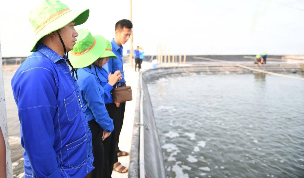 Liên hoan Thanh niên Nông thôn Toàn quốc 2024: Truyền cảm hứng từ những mô hình nông nghiệp công nghệ cao