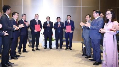 Xây dựng cầu nối vững chắc cho doanh nghiệp Việt Nam - Brazil Xây dựng cầu nối vững chắc cho doanh nghiệp Việt Nam - Brazil