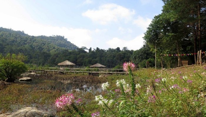 Sức sống mới ở bản Tìa Ló