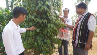 Nhiều mô hình, cách làm hay giảm nghèo ở Đắk Nông