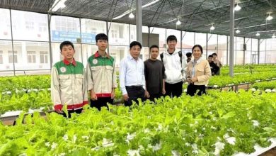 Đào tạo nghề – chìa khóa giảm nghèo bền vững ở Đắk Nông