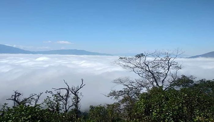 Sức sống mới ở bản Tìa Ló