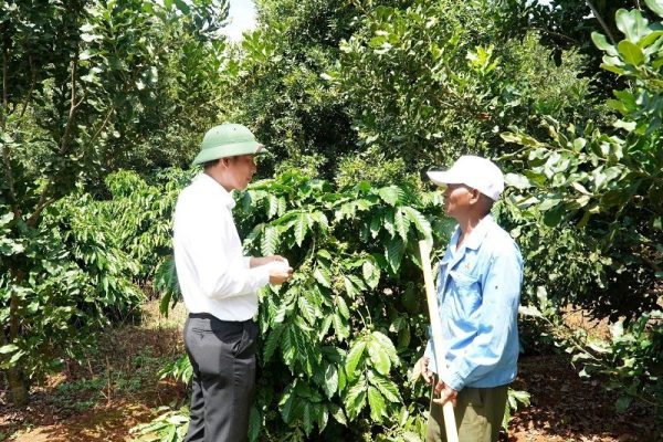 Nhiều mô hình, cách làm hay giảm nghèo ở Đắk Nông Nhiều mô hình, cách làm hay giảm nghèo ở Đắk Nông