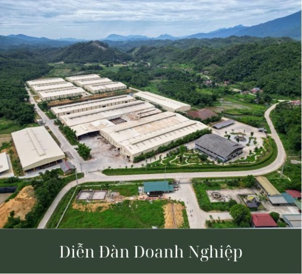Khánh thành Nhà máy sản xuất tre và gỗ biến tính Bamboo King Vina Khánh thành Nhà máy sản xuất tre và gỗ biến tính Bamboo King Vina