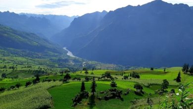 Thảo nguyên Suôi Thầu – Điểm đến lý tưởng nơi miền tây Hà Giang Thảo nguyên Suôi Thầu – Điểm đến lý tưởng nơi miền tây Hà Giang